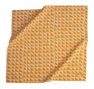Asher Bandana