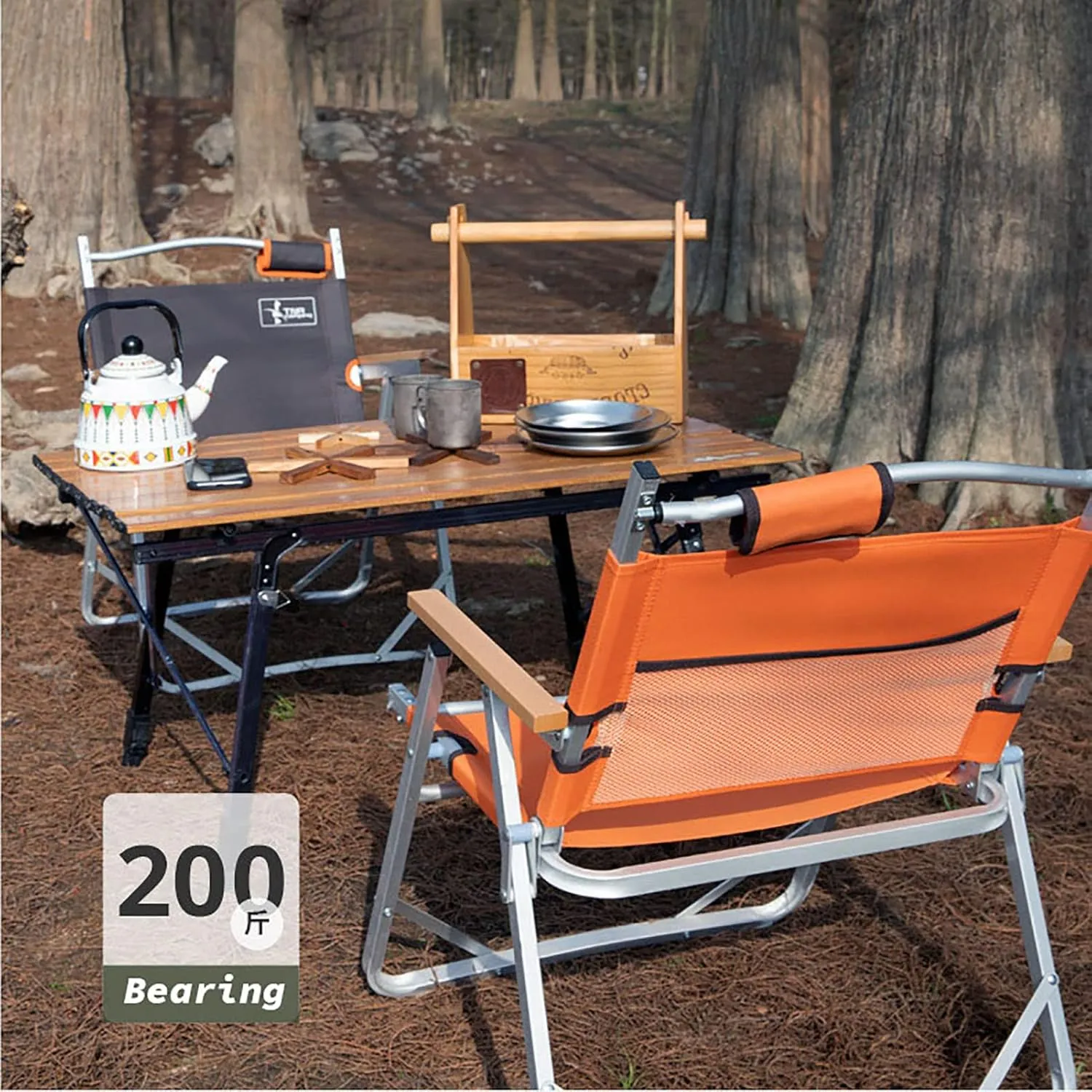 BK&MF Outdoor Folding Director Chair,Portable Lightweight Camping Chair,Reclining Chair Canvas Beach Camp Chair Space Saving for Storage and Travel,C,54x49x66cm(21x19x26inch)