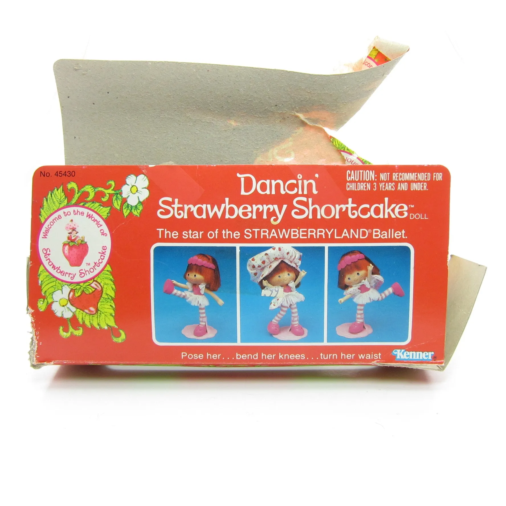 Dancin' Strawberry Shortcake Doll Vintage Ballerina Dancer with Box and Accessories