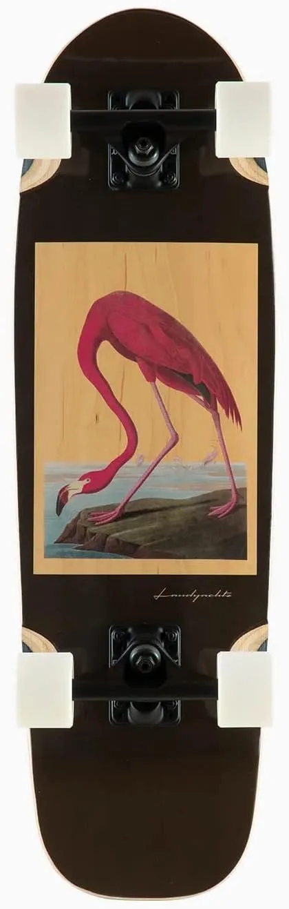 Landyachtz Dinghy Complete Skateboard - Blunt Flamingo
