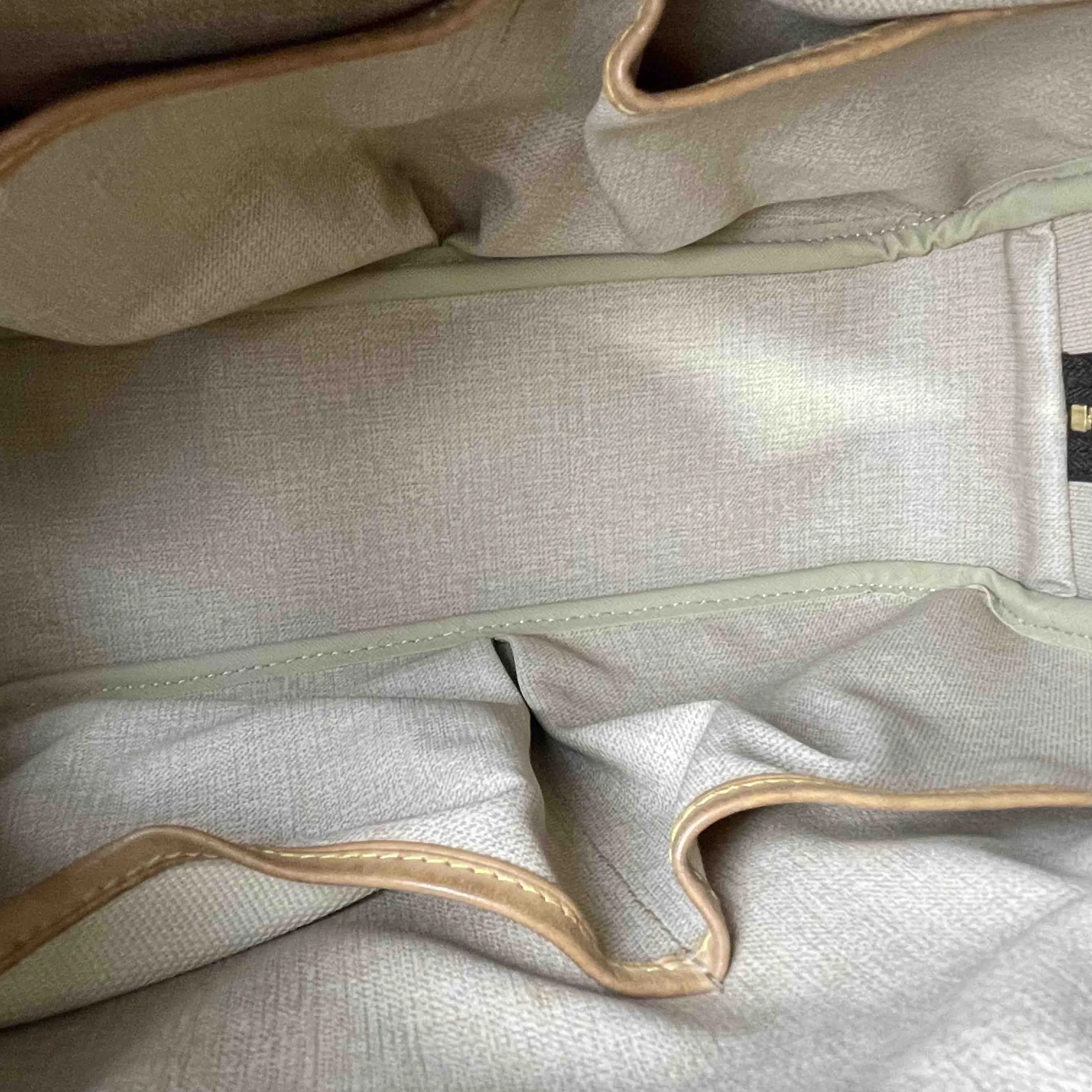 Louis Vuitton Jenny Brown Monogram Bag