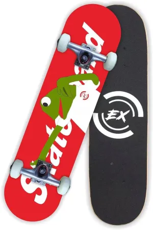 Skateboards for Beginners, Complete Skateboard 31 x 8, 7 Layer Canadian Maple Double Kick Concave Standard and Tricks Skateboards for Kids and Beginners