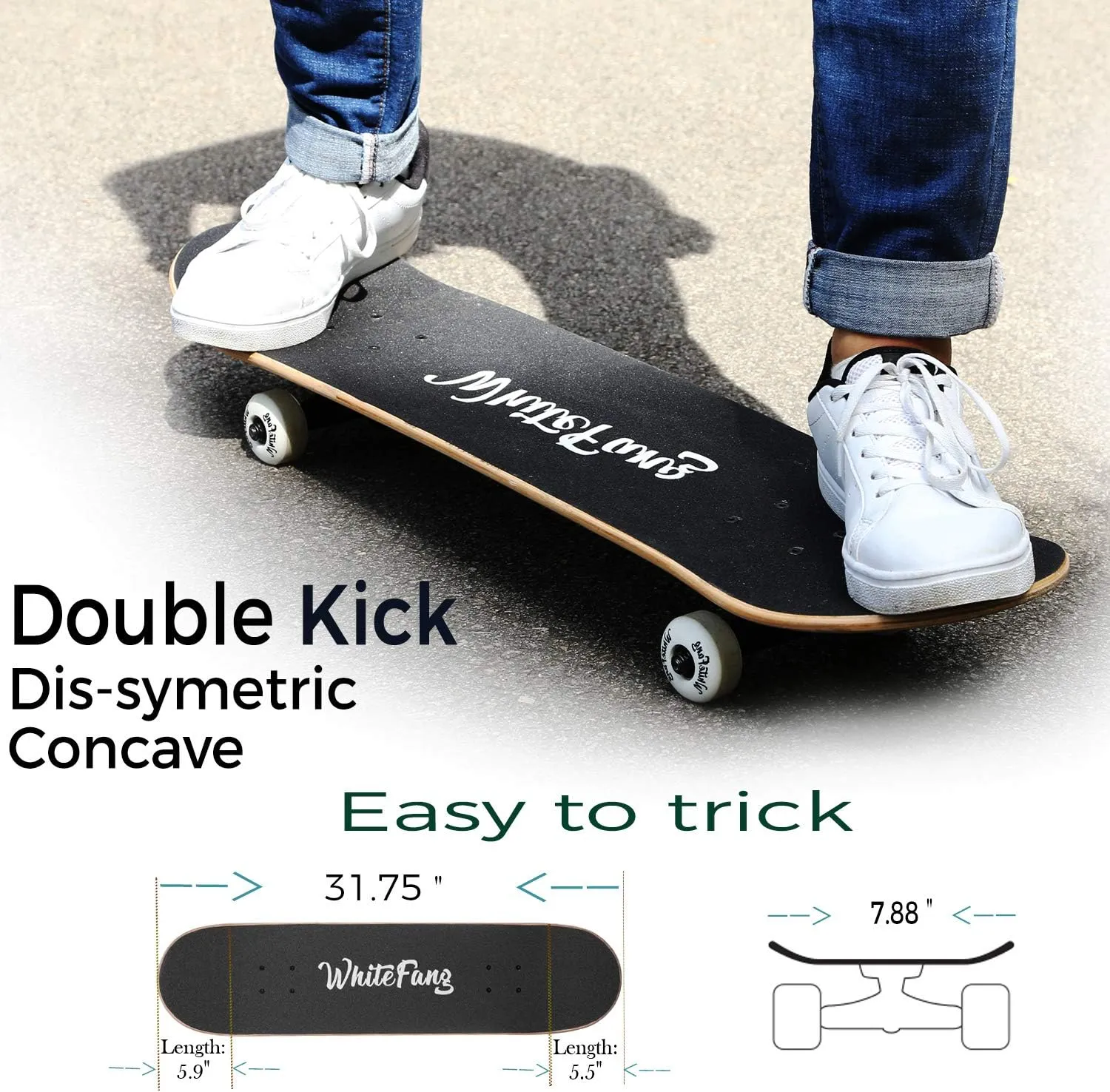 WhiteFang Skateboards for Beginners, Complete Skateboard 31 x 7.88, 7 Layer Canadian Maple Double Kick Concave Standard and Tricks Skateboards for Kids and Beginners