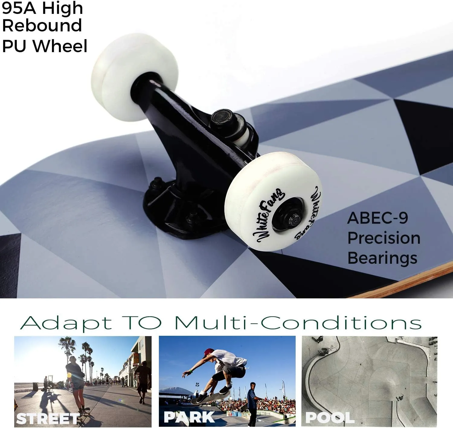 WhiteFang Skateboards for Beginners, Complete Skateboard 31 x 7.88, 7 Layer Canadian Maple Double Kick Concave Standard and Tricks Skateboards for Kids and Beginners
