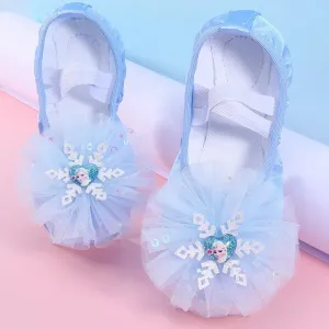 Women's Ice Shape Ballet Dance Slippers - Flat Yoga Gym Shoes, Pink Blue, All Sizes